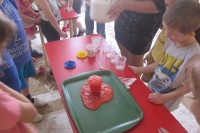 Открытое занятие