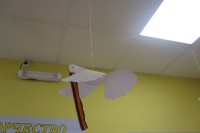 Вот какая красота! 