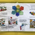 неделя здоровья_1