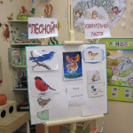 «Главная птица леса!»