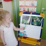 Цветы, цветочки!