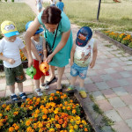 Цветы, цветочки!