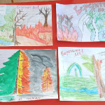 «Защита леса»