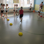 Зимние олимпийские виды спорта