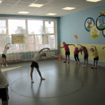 Зимние олимпийские виды спорта