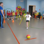 Зимние олимпийские виды спорта