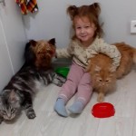 День домашних животных