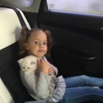 День домашних животных