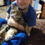 День домашних животных