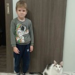 День домашних животных