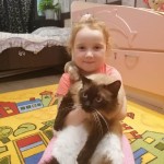 День домашних животных