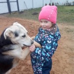 День домашних животных