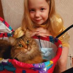 День домашних животных