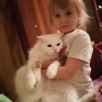 День домашних животных