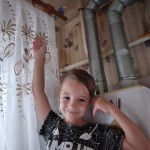 День домашних животных