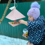 «Покормите птиц зимой»
