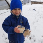 «Покормите птиц зимой»