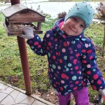 «Покормите птиц зимой»