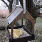 «Покормите птиц зимой»