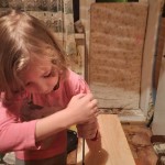 «Покормите птиц зимой»