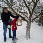 «Покормите птиц зимой»