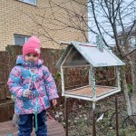 «Покормите птиц зимой»