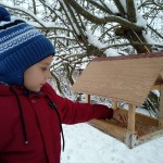 «Покормите птиц зимой»