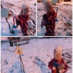 «Покормите птиц зимой»