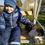 ДЕНЬ ЗАЩИТЫ ДОМАШНИХ ЖИВОТНЫХ