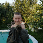 ДЕНЬ ЗАЩИТЫ ДОМАШНИХ ЖИВОТНЫХ