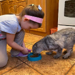 ДЕНЬ ЗАЩИТЫ ДОМАШНИХ ЖИВОТНЫХ