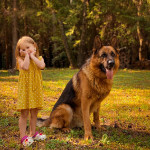 ДЕНЬ ЗАЩИТЫ ДОМАШНИХ ЖИВОТНЫХ