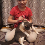 ДЕНЬ ЗАЩИТЫ ДОМАШНИХ ЖИВОТНЫХ