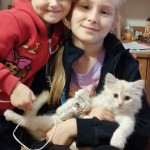 ДЕНЬ ЗАЩИТЫ ДОМАШНИХ ЖИВОТНЫХ