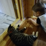 ДЕНЬ ЗАЩИТЫ ДОМАШНИХ ЖИВОТНЫХ