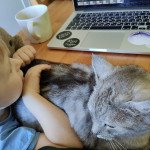 ДЕНЬ ЗАЩИТЫ ДОМАШНИХ ЖИВОТНЫХ