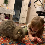 ДЕНЬ ЗАЩИТЫ ДОМАШНИХ ЖИВОТНЫХ