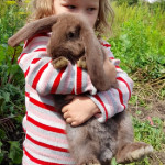 ДЕНЬ ЗАЩИТЫ ДОМАШНИХ ЖИВОТНЫХ