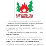 Всероссийский единый урок ОБЖ посвящённый Дню пожарной охраны. 29 апреля 2022г.