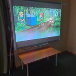 День Эколят