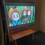 День Эколят