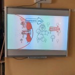 Месячник по пожарной безопасности