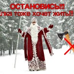 «Ёлочка живи»