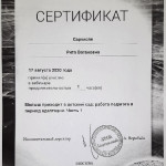 достижения