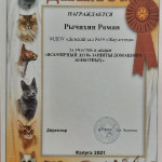 достижения