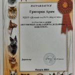 достижения