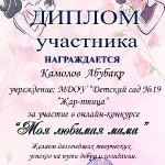 Достижения воспитанников