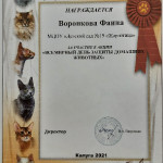 достижения