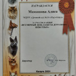 Наш детский сад