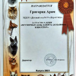 достижения